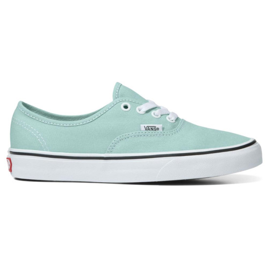 Vans UA Authentic Cthr